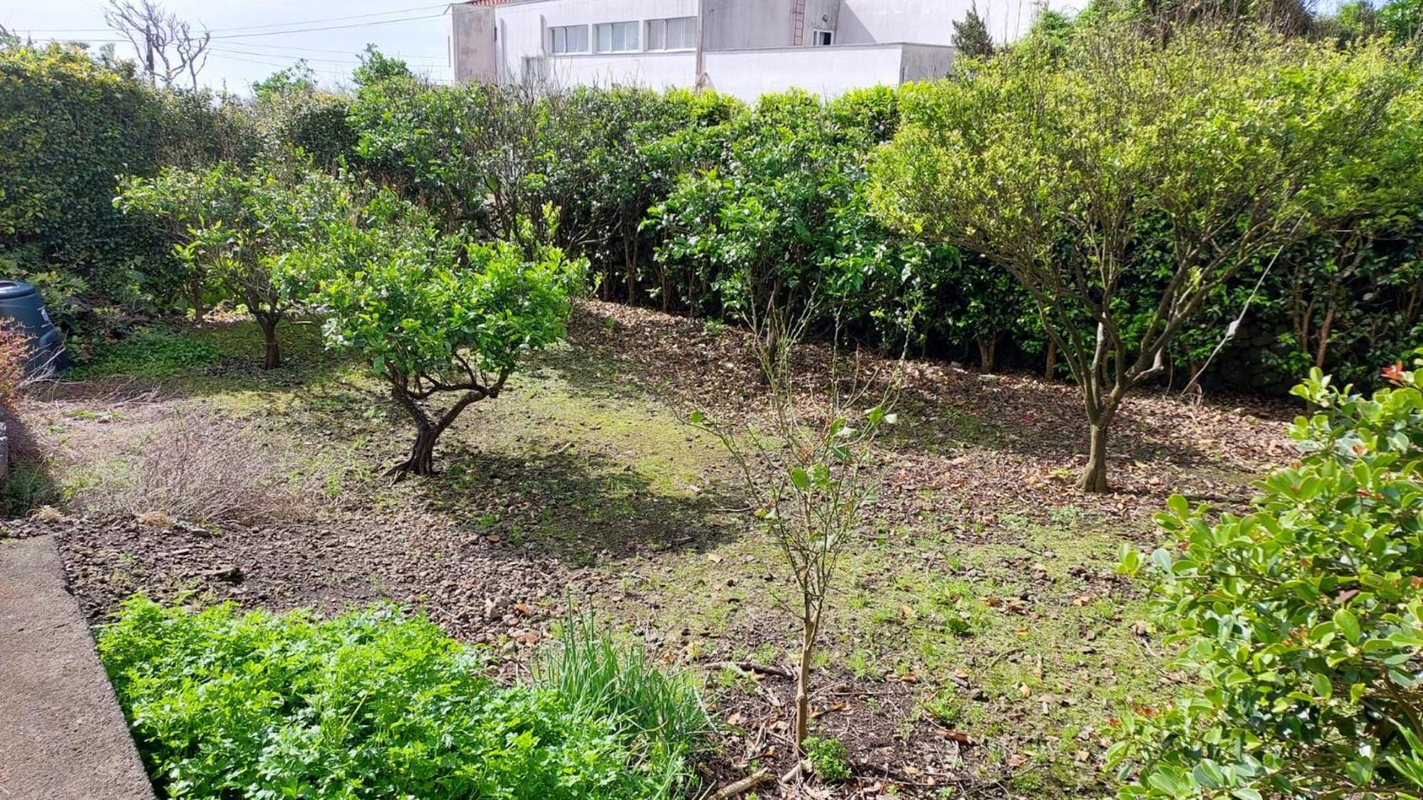 Retiro Das Camelias 1 Lajes das Flores Exterior photo